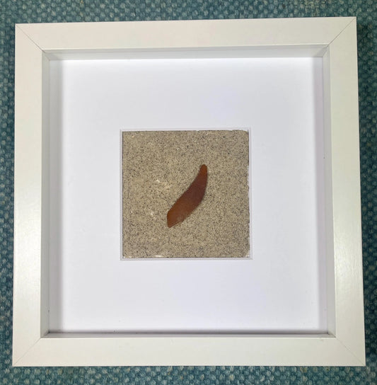 One of a Kind - Brown Sea Glass & Sand Shadowbox Art - Avon By The Sea , NJ